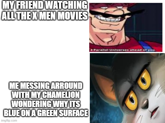 his name is mystquie the chamelion | MY FRIEND WATCHING ALL THE X MEN MOVIES; ME MESSING ARROUND WITH MY CHAMELION WONDERING WHY ITS BLUE ON A GREEN SURFACE | image tagged in blank white template,memes,x men | made w/ Imgflip meme maker