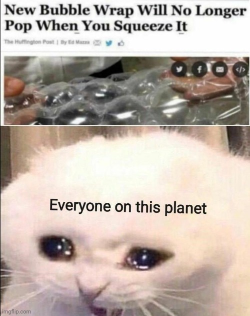 Sed | image tagged in funny,funny memes,memes,crying cat | made w/ Imgflip meme maker