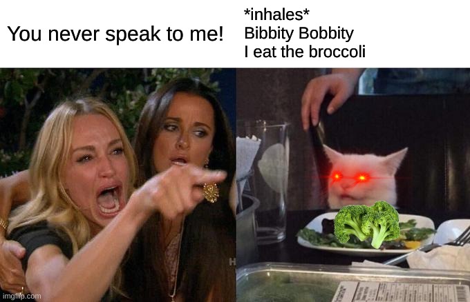 Boccli | You never speak to me! *inhales*
Bibbity Bobbity
I eat the broccoli | image tagged in memes,woman yelling at cat | made w/ Imgflip meme maker