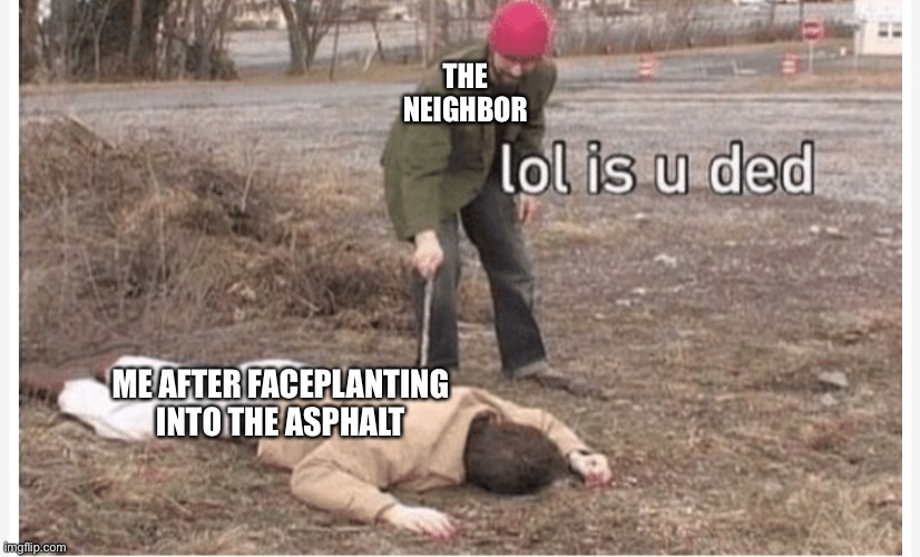 Lol is u ded | THE NEIGHBOR; ME AFTER FACEPLANTING INTO THE ASPHALT | image tagged in lol is u ded | made w/ Imgflip meme maker