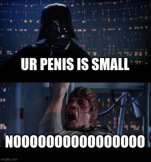 Star Wars No Meme | UR PENIS IS SMALL; NOOOOOOOOOOOOOOOO | image tagged in memes,star wars no | made w/ Imgflip meme maker