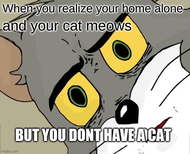 -__- |  When you realize your home alone; and your cat meows; BUT YOU DONT HAVE A CAT | image tagged in memes,unsettled tom | made w/ Imgflip meme maker