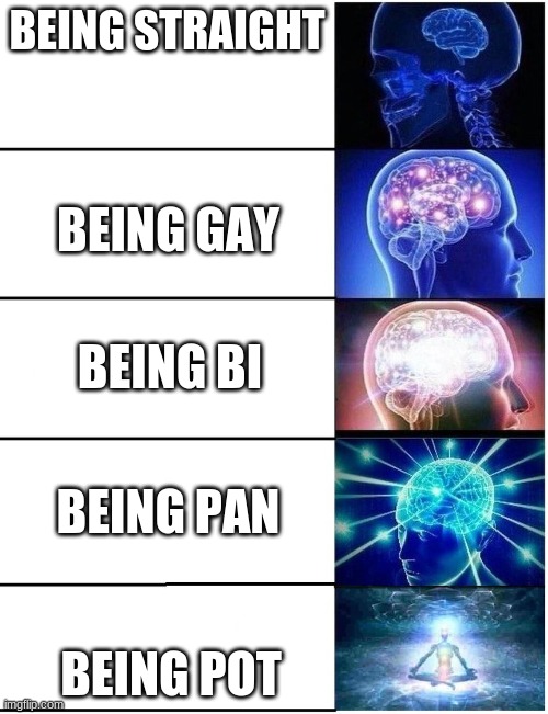 Don't take this as offense, straight people are still cool, im just doing it for the meme | BEING STRAIGHT; BEING GAY; BEING BI; BEING PAN; BEING POT | image tagged in expanding brain 5 panel,dont take offense | made w/ Imgflip meme maker