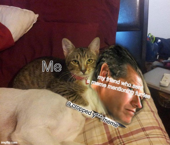 Cat Brian Williams & Knife | Me; my friend who sent a meme mentioning furries; a cropped y*** meme | image tagged in cat brian williams knife,furry | made w/ Imgflip meme maker