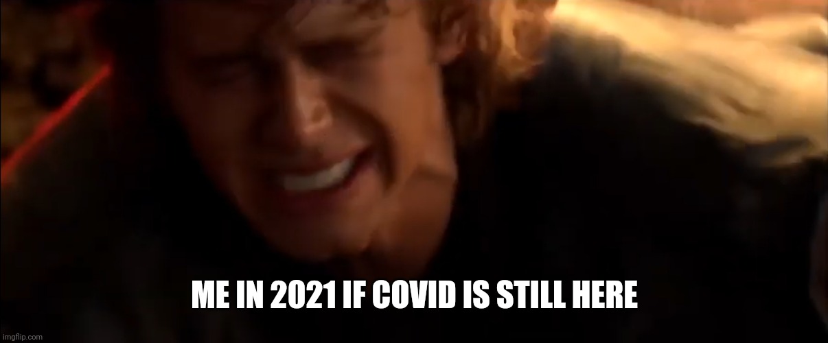 ME IN 2021 IF COVID IS STILL HERE | image tagged in aaaaaaaaaaaaaaaaaaaaaaaaaaq,memes | made w/ Imgflip meme maker