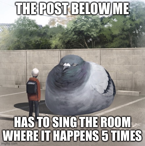 Beeg Birb | THE POST BELOW ME; HAS TO SING THE ROOM WHERE IT HAPPENS 5 TIMES | image tagged in beeg birb | made w/ Imgflip meme maker