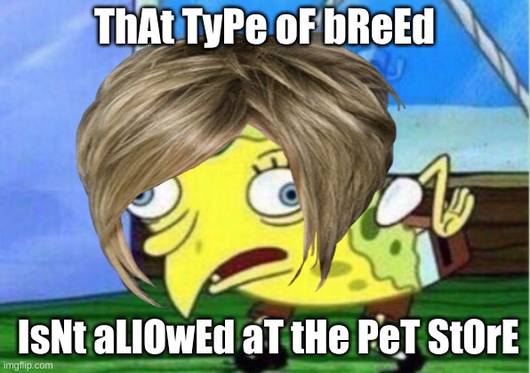 Karen | ThAt TyPe oF bReEd; IsNt aLlOwEd aT tHe PeT StOrE | image tagged in memes | made w/ Imgflip meme maker