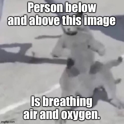 . | Person below and above this image; Is breathing air and oxygen. | image tagged in cat nae nae | made w/ Imgflip meme maker