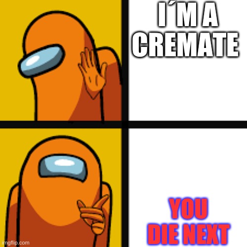 Drake Holilake Bling But It Is Among Us | I´M A CREMATE; YOU DIE NEXT | image tagged in amoung us | made w/ Imgflip meme maker