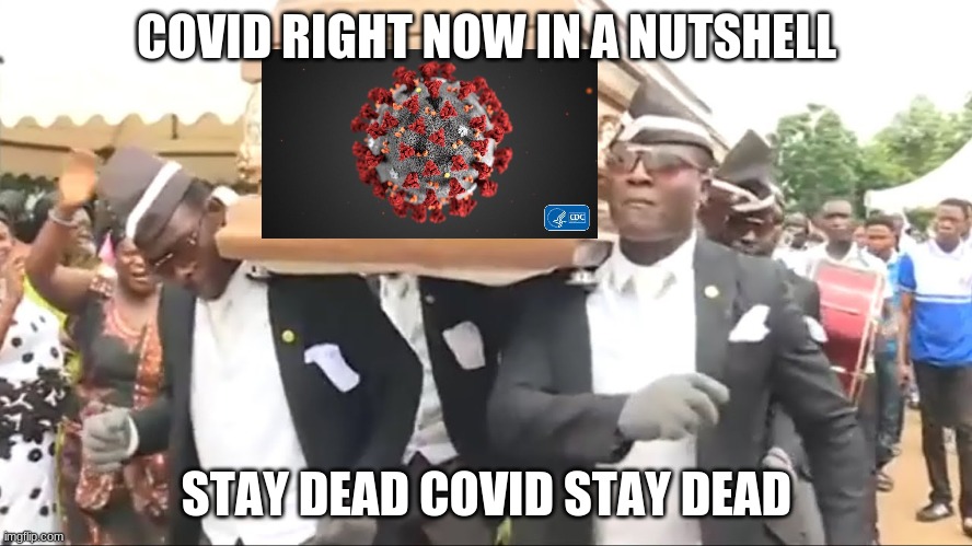 Coffin Dance | COVID RIGHT NOW IN A NUTSHELL; STAY DEAD COVID STAY DEAD | image tagged in coffin dance | made w/ Imgflip meme maker