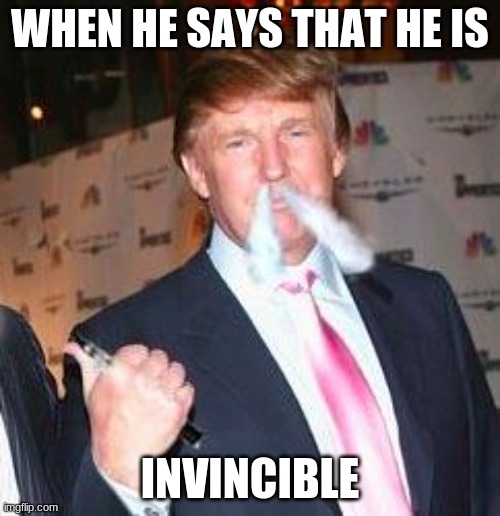 sdafa | WHEN HE SAYS THAT HE IS; INVINCIBLE | image tagged in vapetrump | made w/ Imgflip meme maker