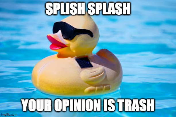 Look at the meme tags XD | SPLISH SPLASH; YOUR OPINION IS TRASH | image tagged in split,splash,your,opinion,iss,trash | made w/ Imgflip meme maker