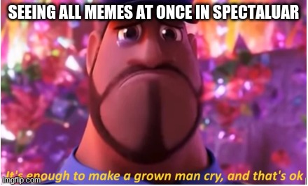 It's enough to make a grown man cry and that's ok | SEEING ALL MEMES AT ONCE IN SPECTALUAR | image tagged in it's enough to make a grown man cry and that's ok | made w/ Imgflip meme maker