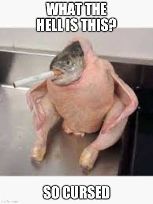 What the hell? | WHAT THE HELL IS THIS? SO CURSED | image tagged in chicken fish smokiin cigar | made w/ Imgflip meme maker