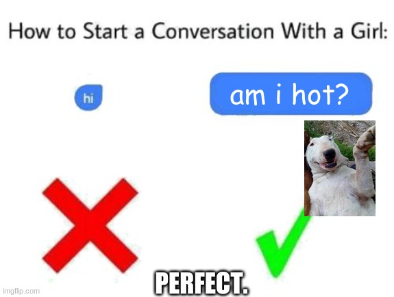 how to start a conversation with a girl (add text or image) | am i hot? PERFECT. | image tagged in how to start a conversation with a girl add text or image | made w/ Imgflip meme maker