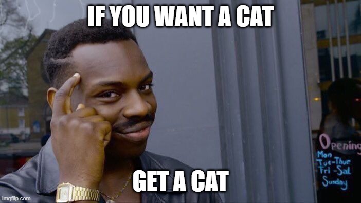 Roll Safe Think About It |  IF YOU WANT A CAT; GET A CAT | image tagged in memes,roll safe think about it,cats | made w/ Imgflip meme maker