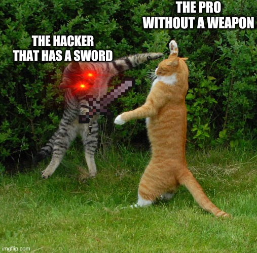 Two cats fighting | THE PRO WITHOUT A WEAPON; THE HACKER THAT HAS A SWORD | image tagged in two cats fighting | made w/ Imgflip meme maker