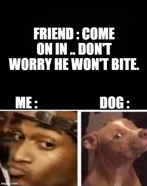 FRIEND : COME ON IN .. DON'T WORRY HE WON'T BITE. ME :                        DOG : | image tagged in black background | made w/ Imgflip meme maker