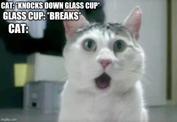 OMG Cat Meme | CAT: *KNOCKS DOWN GLASS CUP*; GLASS CUP: *BREAKS*; CAT: | image tagged in memes,omg cat,woah kitty,well shit | made w/ Imgflip meme maker