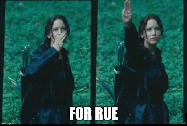 Sad Rue Hours | FOR RUE | image tagged in katniss respect | made w/ Imgflip meme maker