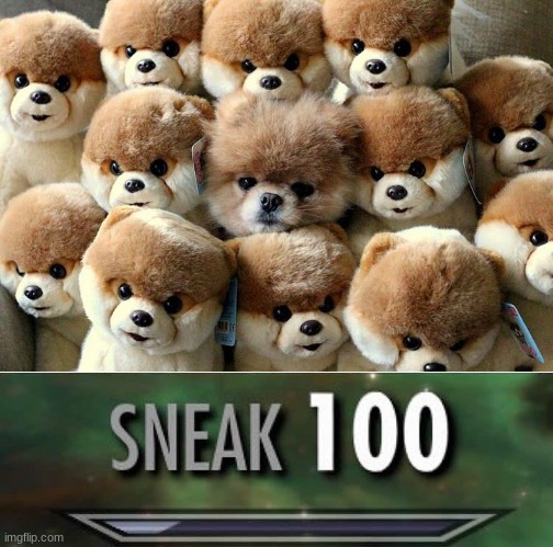 sneaky boi | image tagged in sneak 100 | made w/ Imgflip meme maker