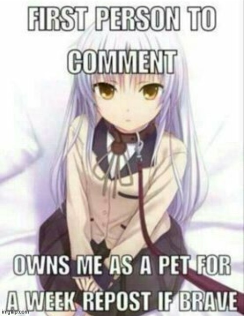I will be pet | image tagged in pet | made w/ Imgflip meme maker