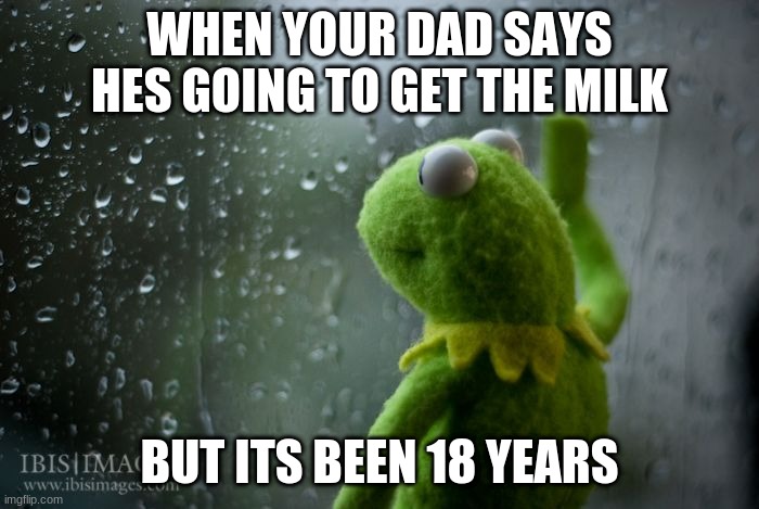 kermit window | WHEN YOUR DAD SAYS HES GOING TO GET THE MILK; BUT ITS BEEN 18 YEARS | image tagged in kermit window | made w/ Imgflip meme maker