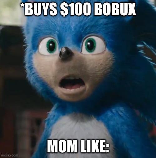 Sonic Movie | *BUYS $100 BOBUX; MOM LIKE: | image tagged in sonic movie | made w/ Imgflip meme maker