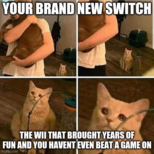 Sad Cat Holding Dog | YOUR BRAND NEW SWITCH; THE WII THAT BROUGHT YEARS OF FUN AND YOU HAVENT EVEN BEAT A GAME ON | image tagged in sad cat holding dog | made w/ Imgflip meme maker