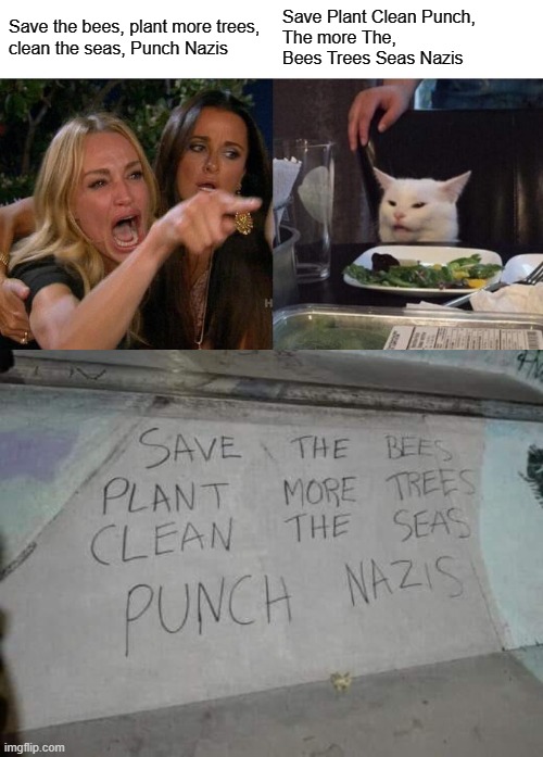 Save the bees, plant more trees,
clean the seas, Punch Nazis; Save Plant Clean Punch,
The more The,
Bees Trees Seas Nazis | image tagged in memes,woman yelling at cat | made w/ Imgflip meme maker