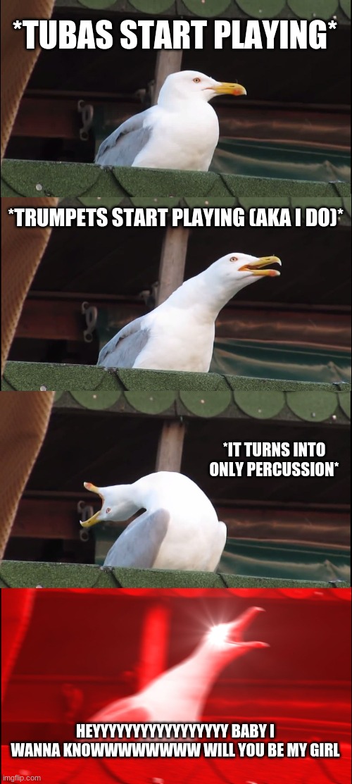 Who's band can relate | *TUBAS START PLAYING*; *TRUMPETS START PLAYING (AKA I DO)*; *IT TURNS INTO ONLY PERCUSSION*; HEYYYYYYYYYYYYYYYYY BABY I WANNA KNOWWWWWWWW WILL YOU BE MY GIRL | image tagged in memes,inhaling seagull | made w/ Imgflip meme maker