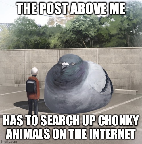 Beeg Birb | THE POST ABOVE ME; HAS TO SEARCH UP CHONKY ANIMALS ON THE INTERNET | image tagged in beeg birb | made w/ Imgflip meme maker