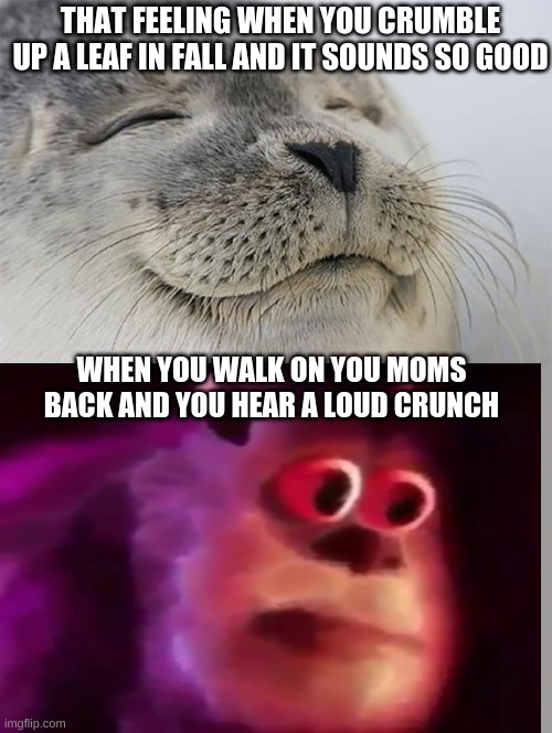 OoOoOoOoOoOoHhHhHhH | THAT FEELING WHEN YOU CRUMBLE UP A LEAF IN FALL AND IT SOUNDS SO GOOD; WHEN YOU WALK ON YOU MOMS BACK AND YOU HEAR A LOUD CRUNCH | image tagged in memes,satisfied seal | made w/ Imgflip meme maker