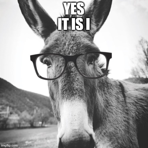 smart ass | YES
IT IS I | image tagged in smart ass | made w/ Imgflip meme maker