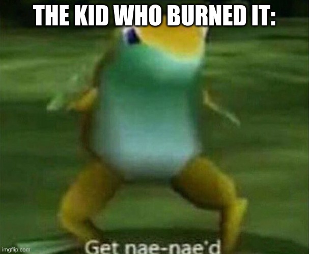 Get nae-nae'd | THE KID WHO BURNED IT: | image tagged in get nae-nae'd | made w/ Imgflip meme maker
