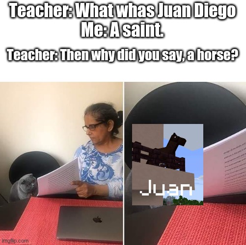 juan. | Teacher: What whas Juan Diego; Me: A saint. Teacher: Then why did you say, a horse? | image tagged in woman showing paper to cat | made w/ Imgflip meme maker