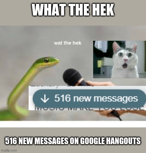 OMG 516 NEW MESSAGES IN 10 MINS!!! | WHAT THE HEK; 516 NEW MESSAGES ON GOOGLE HANGOUTS | image tagged in excuse me wtf | made w/ Imgflip meme maker