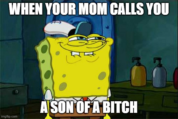Don't You Squidward | WHEN YOUR MOM CALLS YOU; A SON OF A BITCH | image tagged in memes,don't you squidward | made w/ Imgflip meme maker