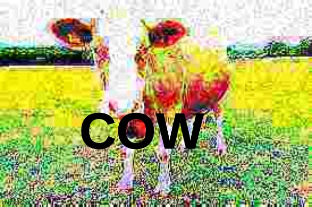 did i do it right guys? | COW | image tagged in cha cha real smooth | made w/ Imgflip meme maker