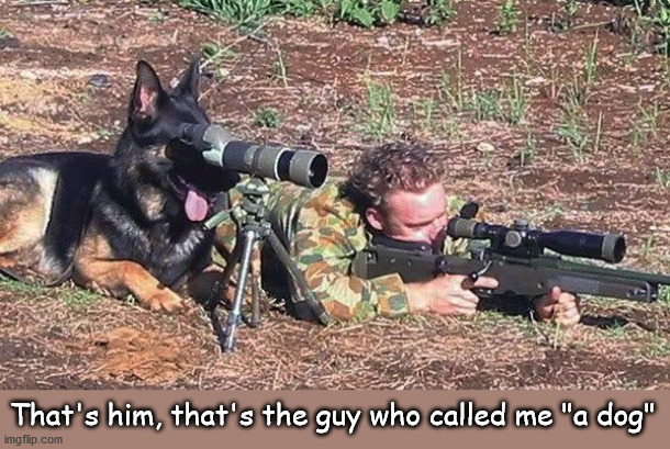That's the guy - shoot him | That's him, that's the guy who called me "a dog" | image tagged in german shepherd | made w/ Imgflip meme maker