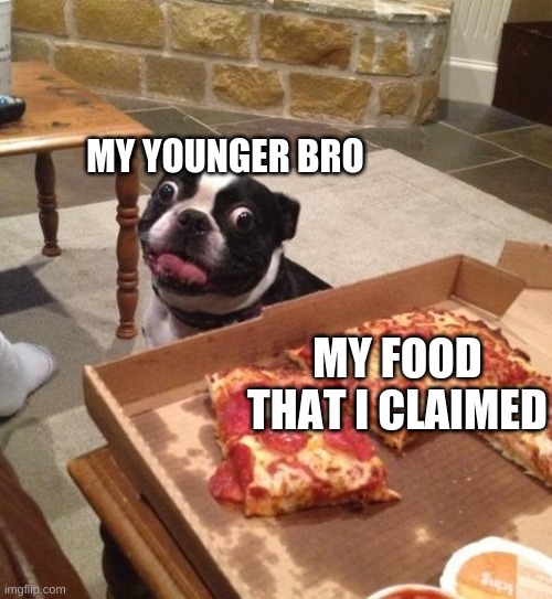 my little bro who is a jerk | MY YOUNGER BRO; MY FOOD THAT I CLAIMED | image tagged in hungry pizza dog | made w/ Imgflip meme maker