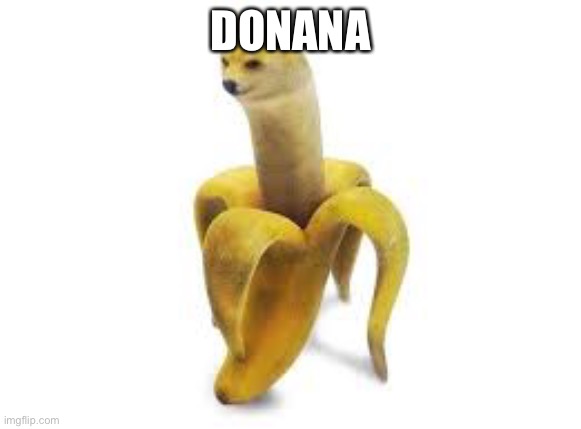 doge banna | DONANA | image tagged in doge banna | made w/ Imgflip meme maker