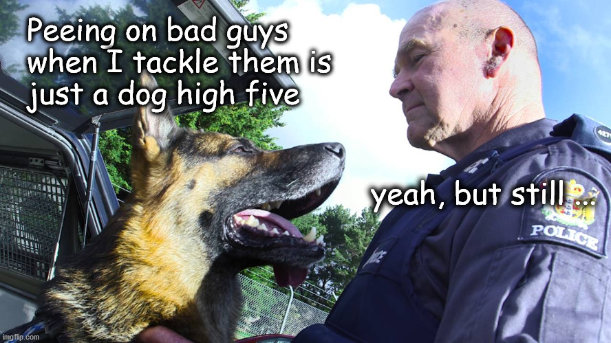 K9's should get to pee on perps | Peeing on bad guys 
when I tackle them is
just a dog high five; yeah, but still ... | image tagged in k9 warriors | made w/ Imgflip meme maker