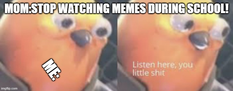 Listen here you little shit bird | MOM:STOP WATCHING MEMES DURING SCHOOL! ME: | image tagged in listen here you little shit bird | made w/ Imgflip meme maker