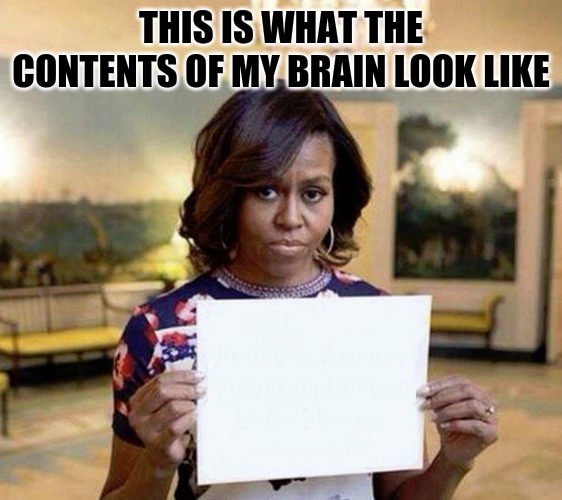Looks can be deceiving | THIS IS WHAT THE CONTENTS OF MY BRAIN LOOK LIKE | image tagged in michelle obama blank sheet | made w/ Imgflip meme maker