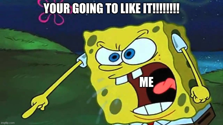 YOUR GOING TO LIKE IT!!!!!!!! ME | made w/ Imgflip meme maker