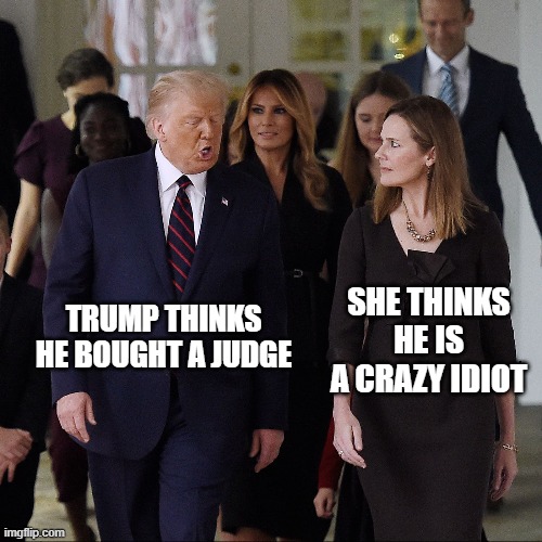 The Trouble with "Buying" a Judge is They Don't Stay Bought | SHE THINKS HE IS A CRAZY IDIOT; TRUMP THINKS HE BOUGHT A JUDGE | image tagged in donald trump is an idiot,liar in chief,amy coney barrett,supreme court,loser,donald trump you're fired | made w/ Imgflip meme maker