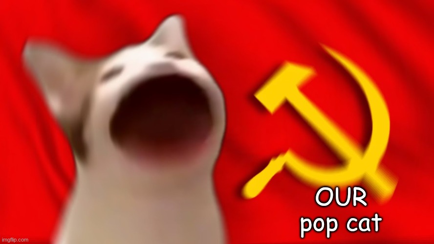  OUR pop cat | made w/ Imgflip meme maker