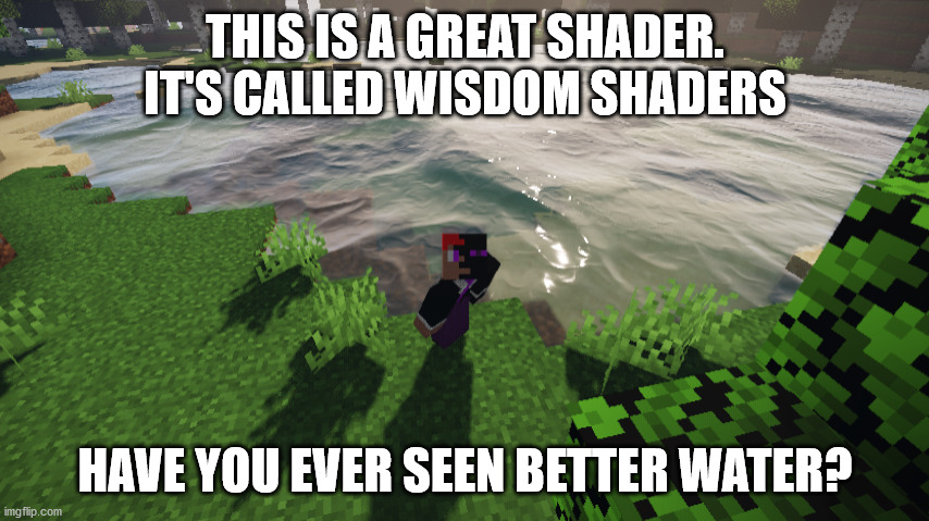 minecraft shader #5 | THIS IS A GREAT SHADER. IT'S CALLED WISDOM SHADERS; HAVE YOU EVER SEEN BETTER WATER? | image tagged in minecraft shader | made w/ Imgflip meme maker