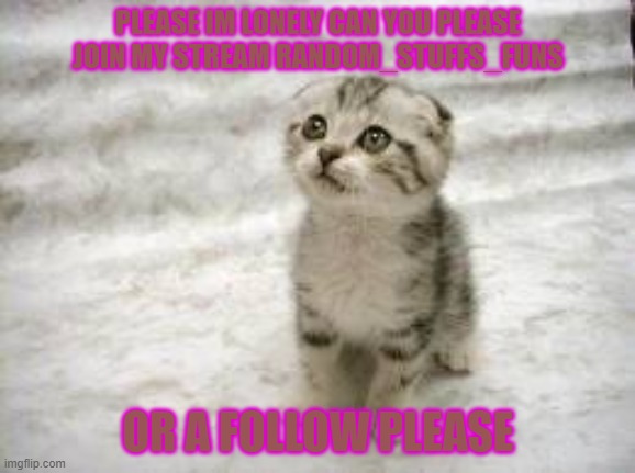 im a  sad cat but really so many people view my stuff but don't follow me help me out with a follow and you can get mod maybe... | PLEASE IM LONELY CAN YOU PLEASE JOIN MY STREAM RANDOM_STUFFS_FUNS; OR A FOLLOW PLEASE | image tagged in memes,sad cat | made w/ Imgflip meme maker